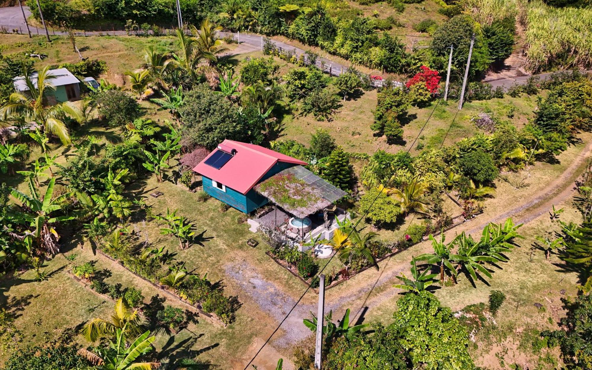 Lodge Le Jardin Creole Bras-Panon Bagian luar foto